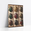 Beetle Specimen Collection Nine Amber Frames art print