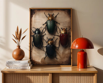 Entomology Art Dark Academia Beetle Manuscript in room