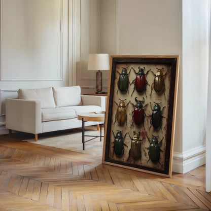 Beetle Specimen Art Victorian Entomology in room
