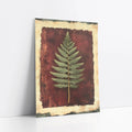 Botanical Fern Specimen Dark Academia Print art print