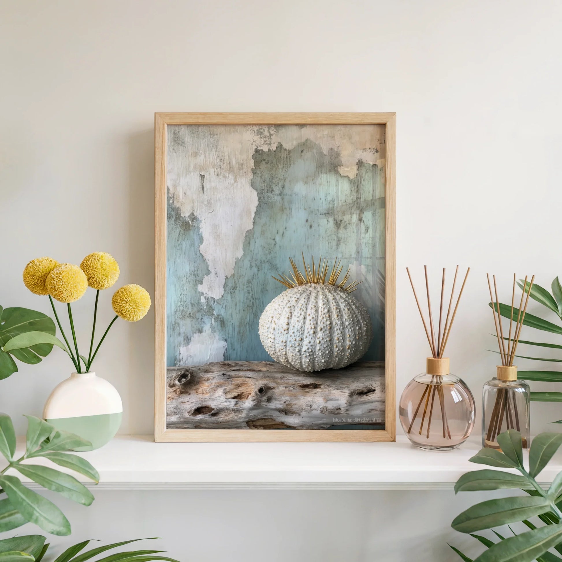 Coastal Sea Urchin Golden Spines Textured Canvas Wall Art — Tidal-zone inspired canvas showing barnacle-crusted specimen on weathered surface for organic home design