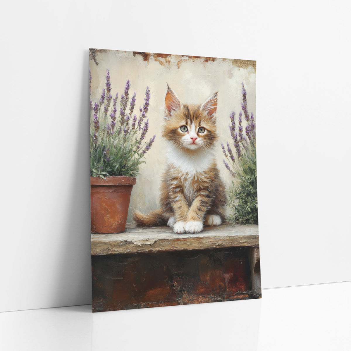 Front-Facing Kitten Between Lavender Pots Rustic art print leaning against a white wall – fluffy ginger and white kitten