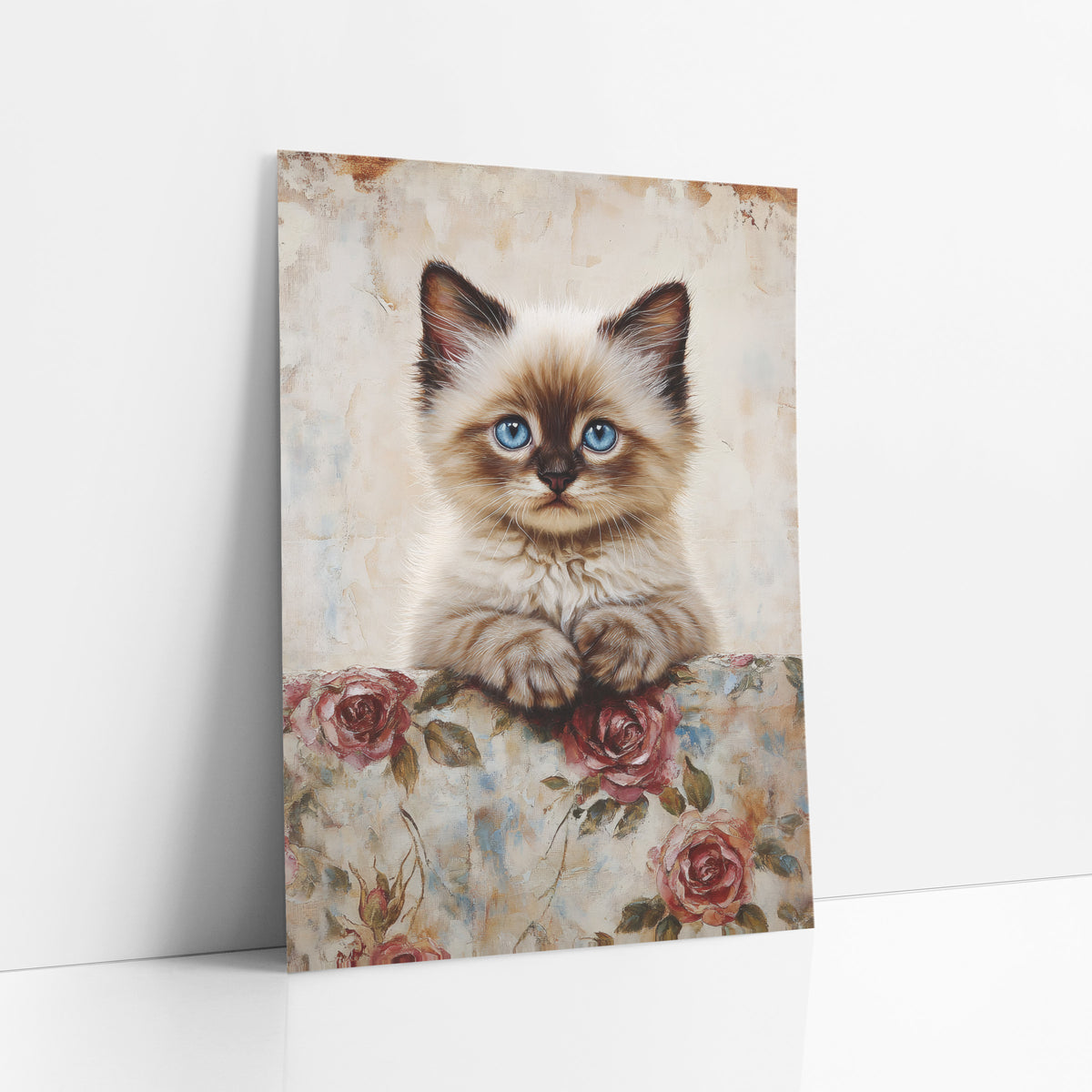 Blue Eyed Kitten Floral Vintage art print leaning against a white wall – fluffy cream and brown kitten with blue eyes resting