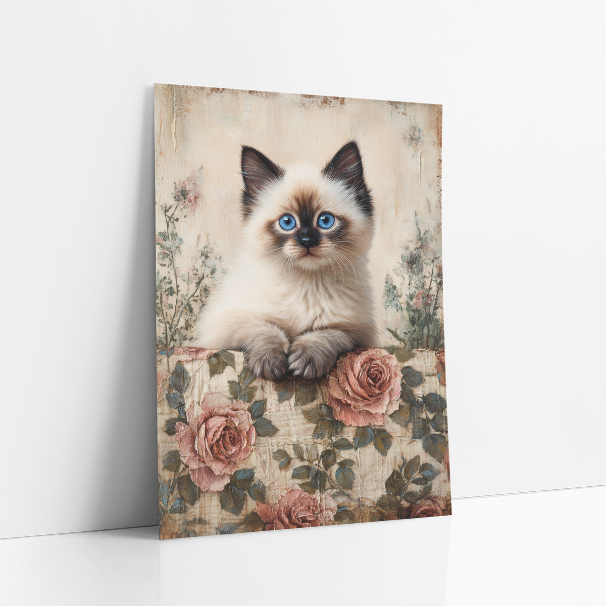 Ragdoll Kitten Draped Paws Roses art print leaning against a white wall – fluffy cream kitten with blue eyes resting paws