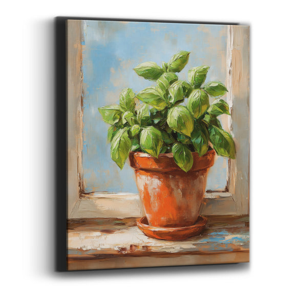 Canvas