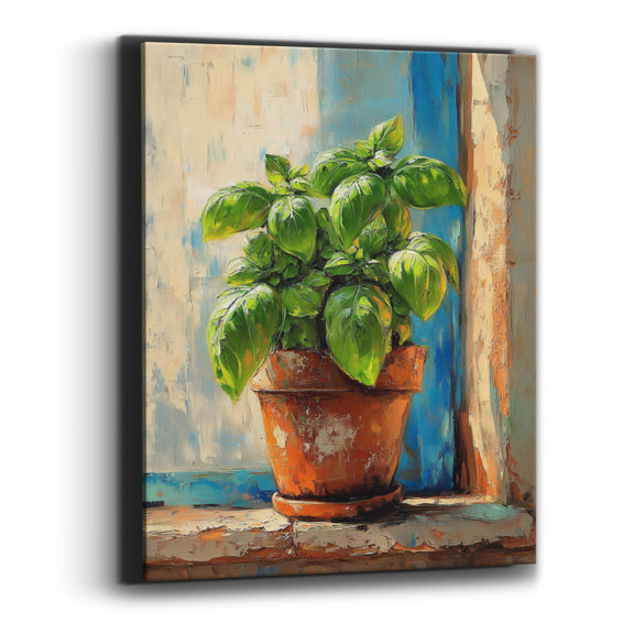 Canvas