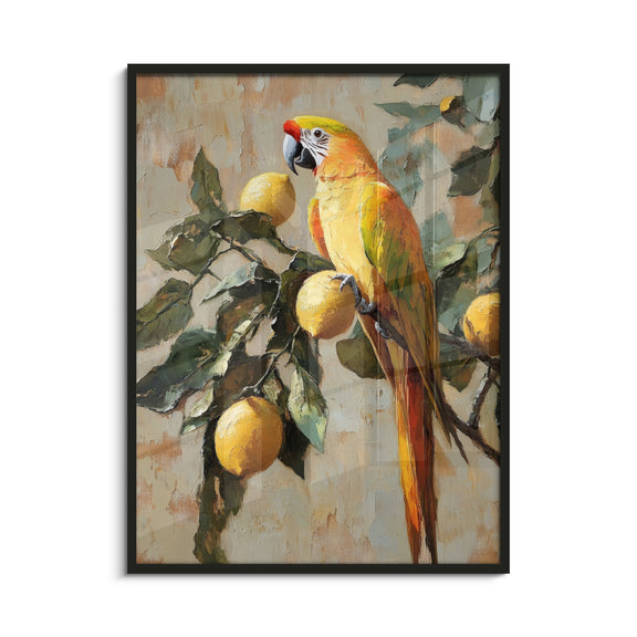 Framed Art Print