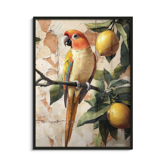Framed Art Print
