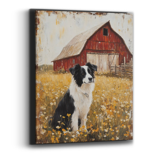 Frontal Collie Buttercups Barn Rustic Canvas Wall Art
