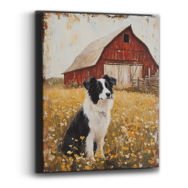 Collie Gazing Meadow Barn Vintage Canvas Wall Art