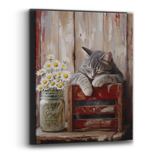 Sleepy Gray Cat Daisies Farmhouse Canvas Wall Art