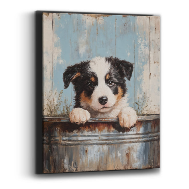Border Collie Pale Blue Planks Rustic Canvas Wall Art