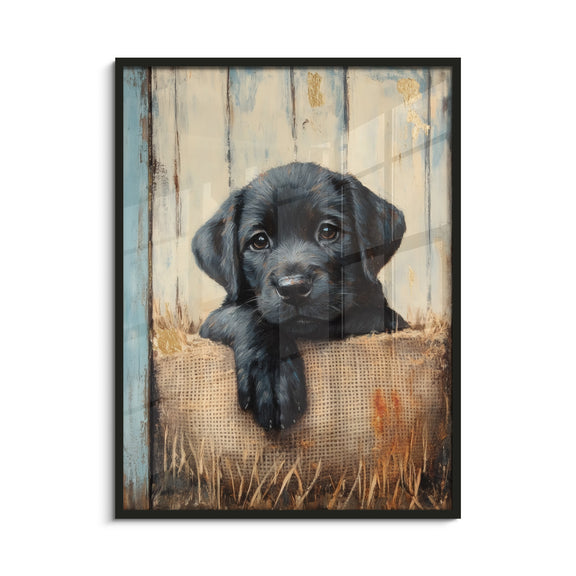 Framed Art Print