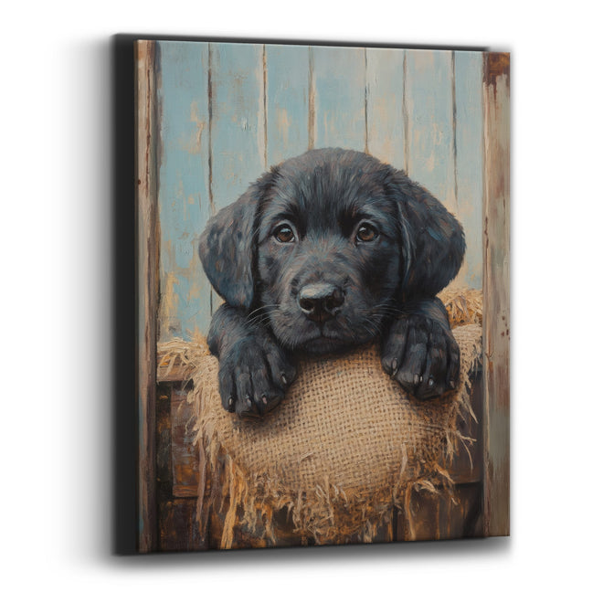 Black Pup Frayed Burlap Rustic Canvas Wall Art