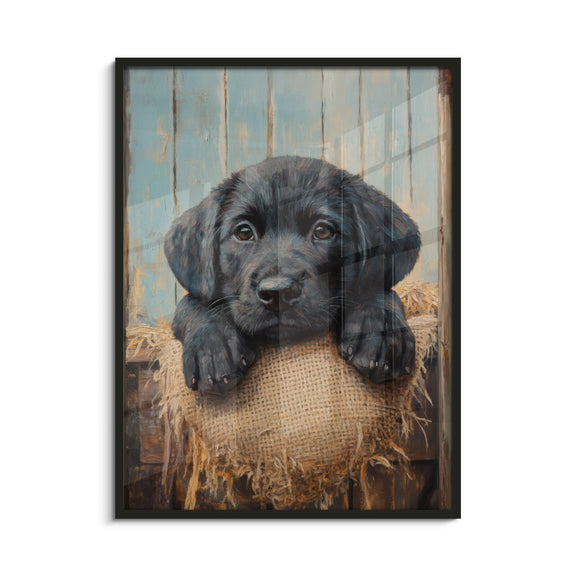 Framed Art Print