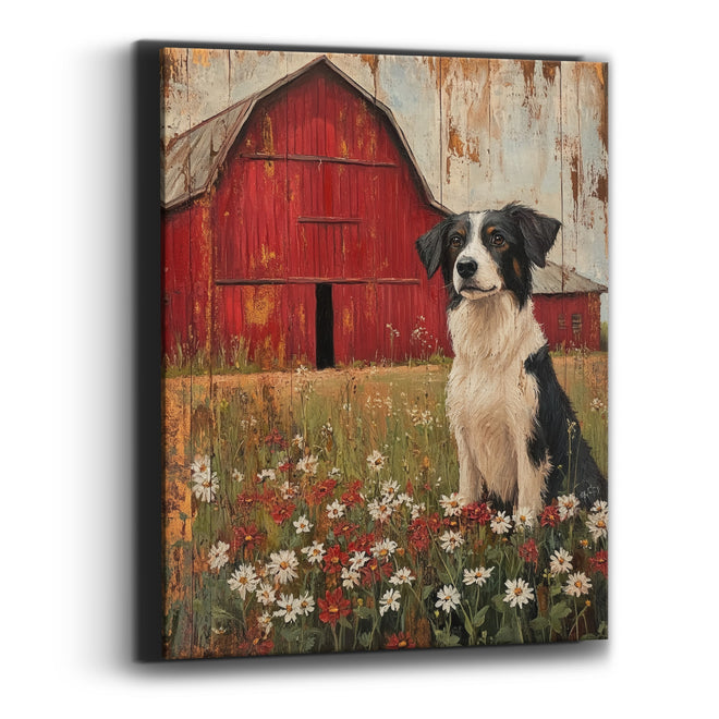 Poppy Pasture Collie Barn Rustic Canvas Wall Art