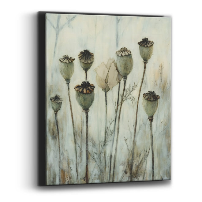 Sage Poppy Pods Botanical Study Canvas Wall Art