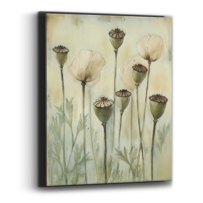 Poppy Pods Cream Blooms Botanical Canvas Wall Art