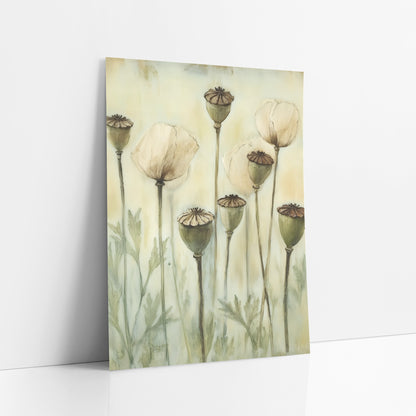 Poppy Pods Cream Blooms Botanical art print leaning against a white wall – tall poppy stems with green seed pods and cream