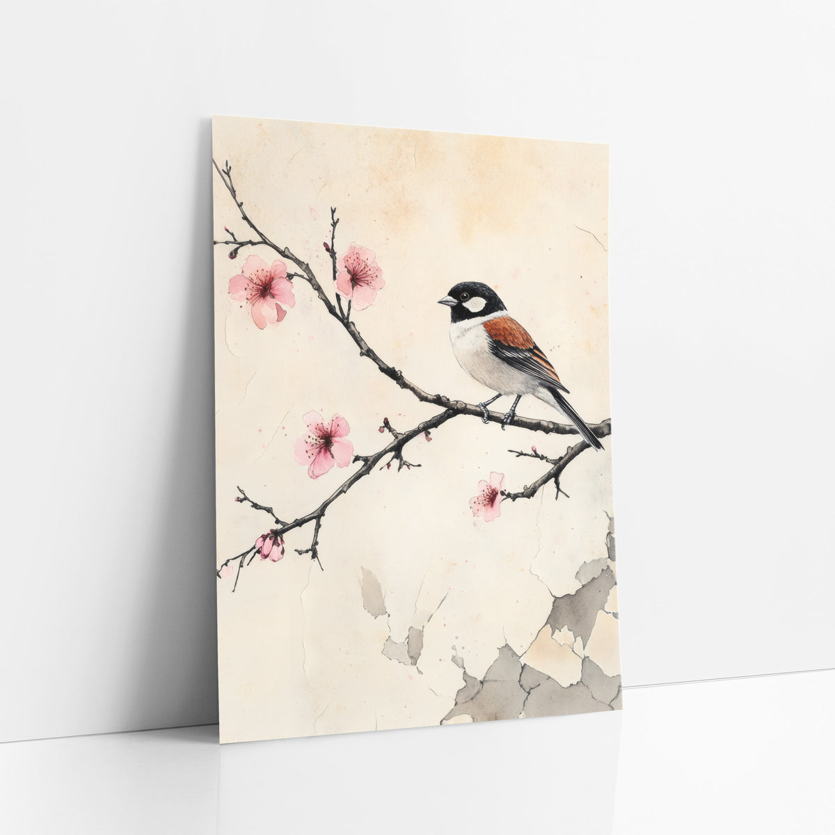 Black Capped Sparrow Cracked Plaster art print leaning against a white wall – sparrow with black head and rust wings