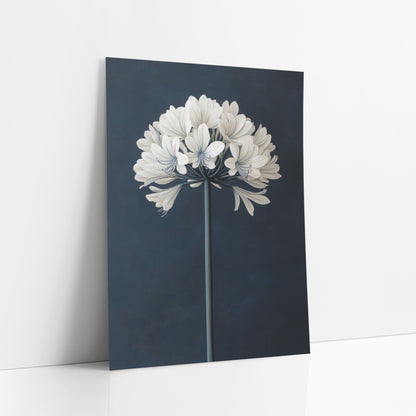 Pale Agapanthus Crown Smooth Navy art print leaning against a white wall – white agapanthus flower globe on a tall gray-green