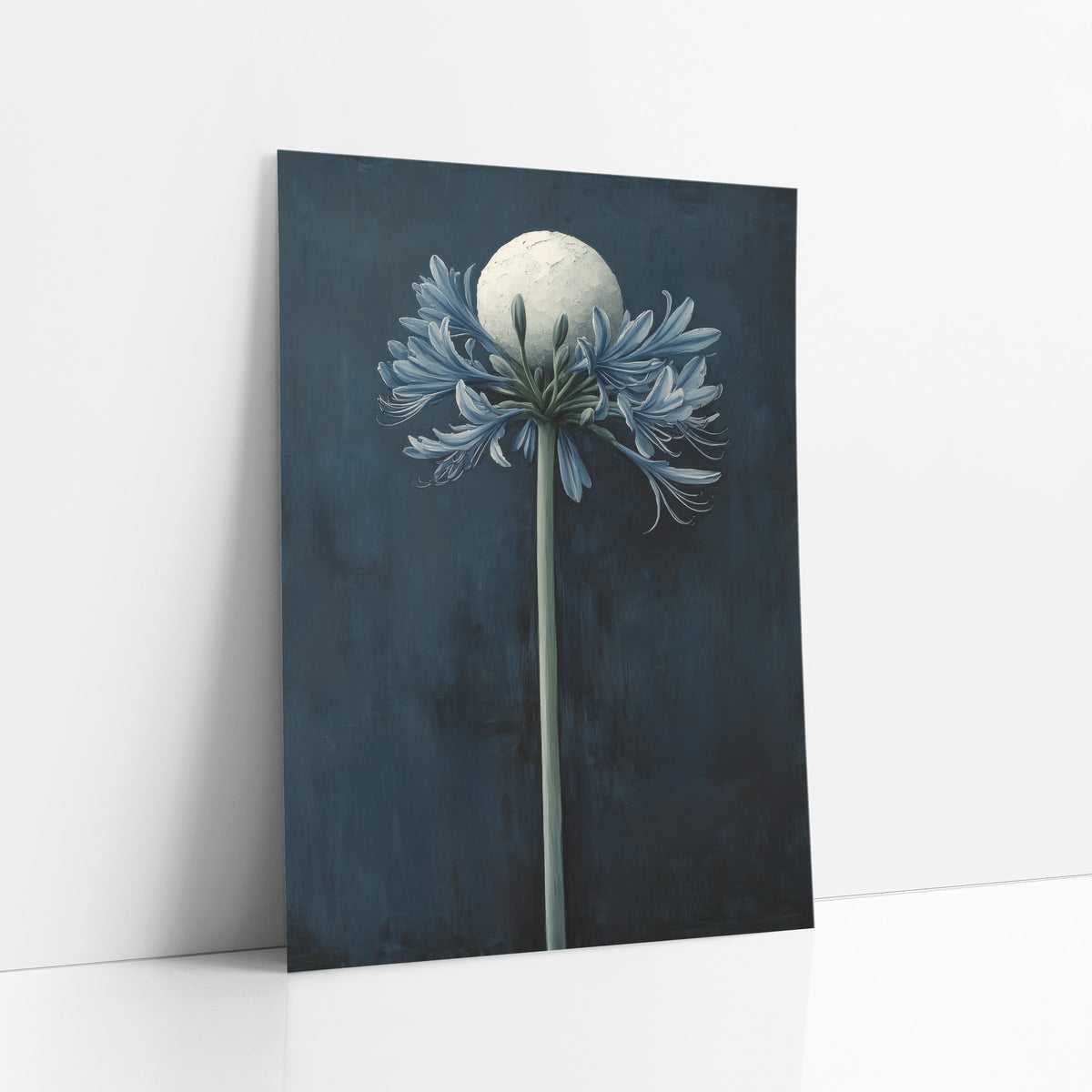 Midnight Blue Agapanthus Moon Botanical art print leaning against a white wall – tall agapanthus with slate-blue petals