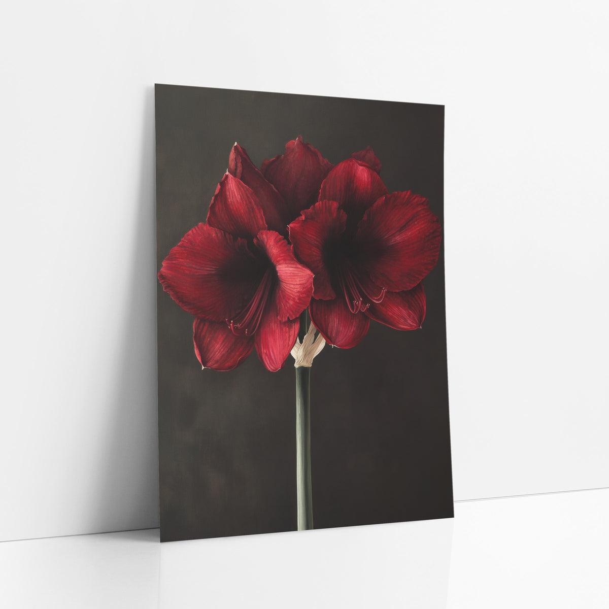 Charcoal Backdrop Amaryllis Stem Botanical art print leaning against a white wall – garnet red amaryllis blooms with dark