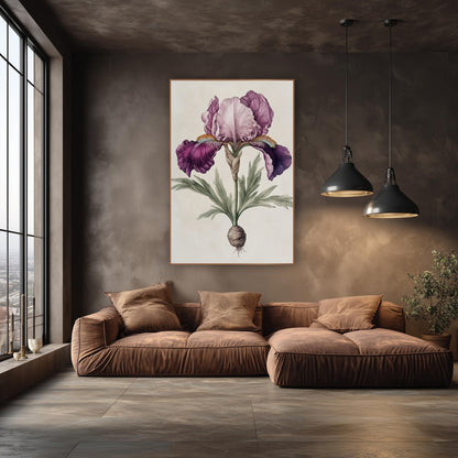 Plum Iris Root Botanical Study wall art in an elegant modern room – vintage-style botanical drawing of a plum