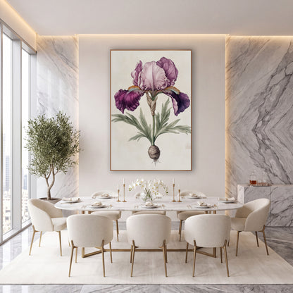 Plum Iris Root Botanical Study wall art in an elegant modern room – vintage-style botanical drawing of a plum