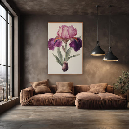 Plum Iris Bulb Vintage Botanical wall art in an elegant modern room – vintage botanical illustration of a pink