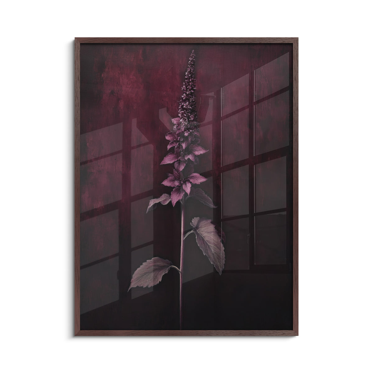 Dark Wood