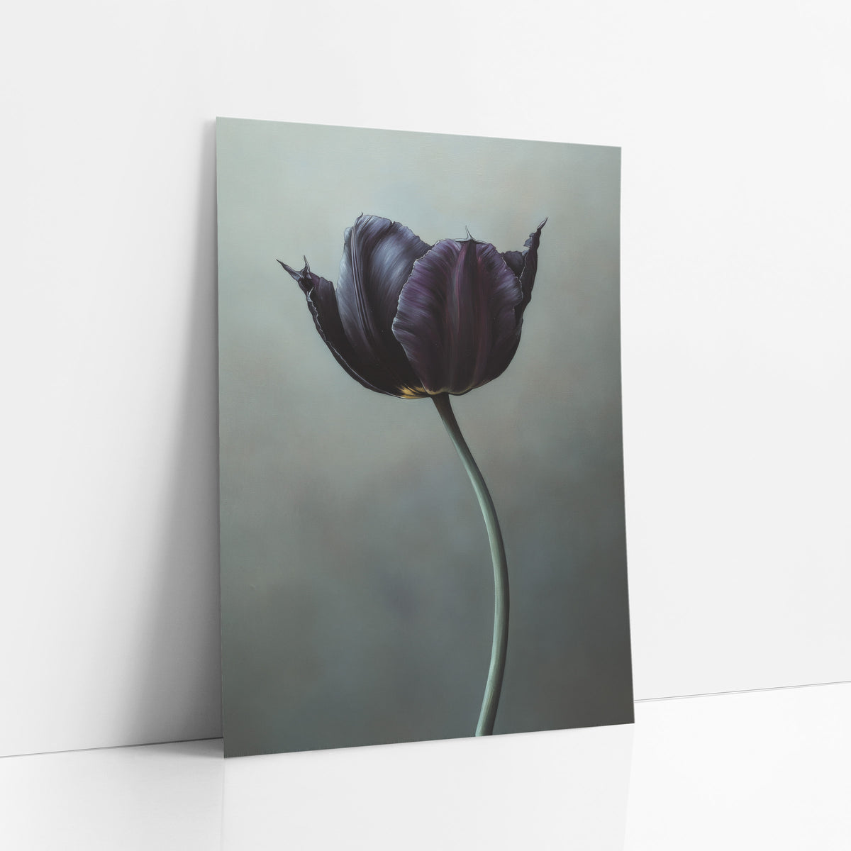 Frayed Petal Plum Tulip Portrait art print leaning against a white wall – black violet tulip with pointed petal tips
