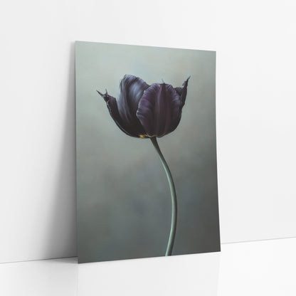 Frayed Petal Plum Tulip Portrait art print leaning against a white wall – black violet tulip with pointed petal tips
