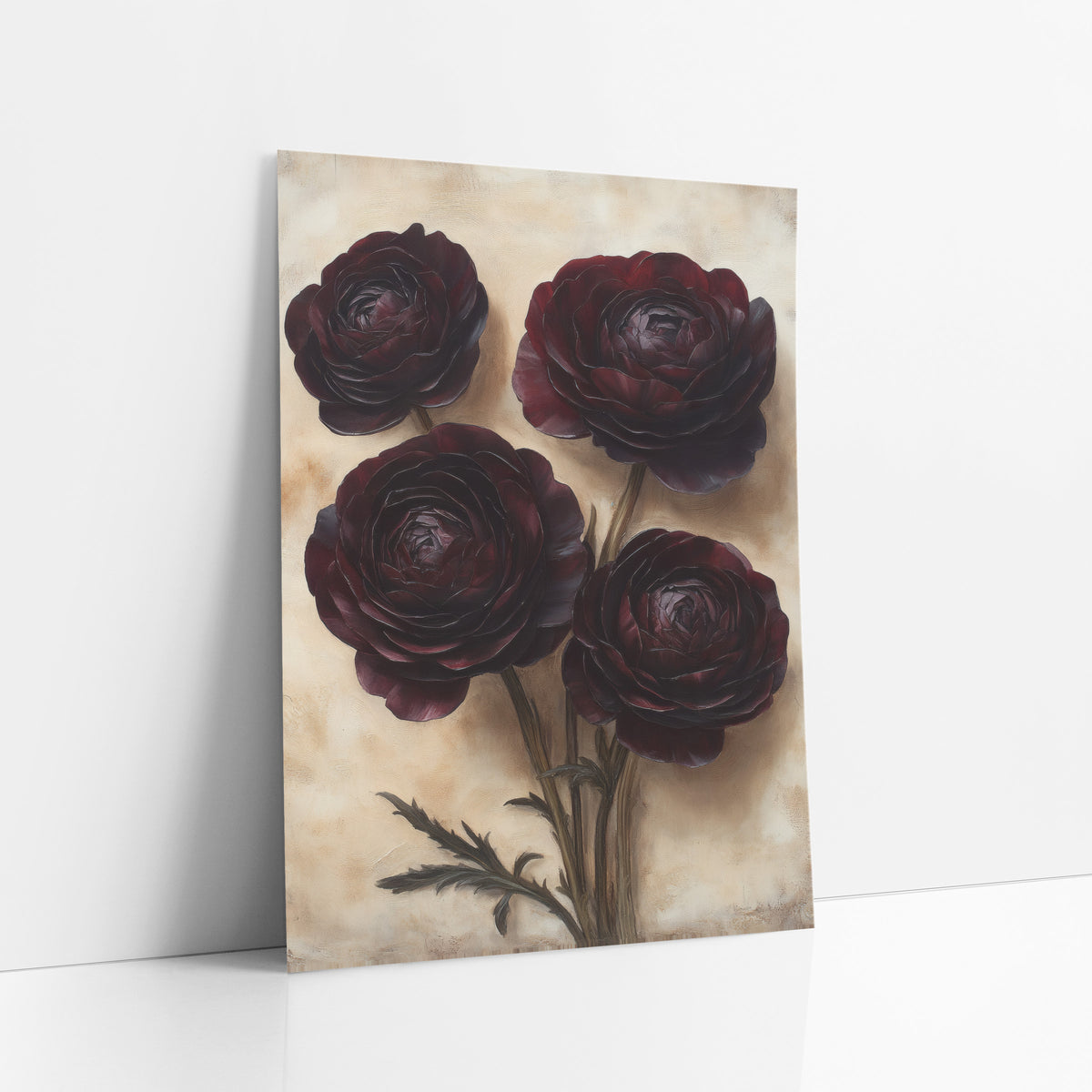 Burgundy Ranunculus Moody Botanical art print leaning against a white wall – four dark burgundy ranunculus flowers