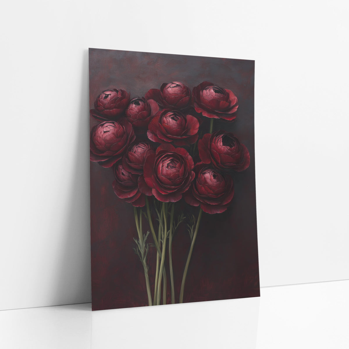 Dark Crimson Ranunculus Luxe Floral art print leaning against a white wall – ten dark red ranunculus with layered ruffled
