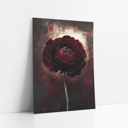 Burgundy Ranunculus Bloom Moody Floral art print leaning against a white wall – single deep burgundy ranunculus on a long