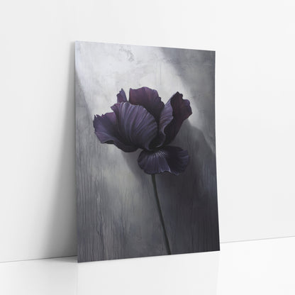 Spotlit Iris Dripping Plaster Painterly art print leaning against a white wall – dark purple iris with ruffled petals