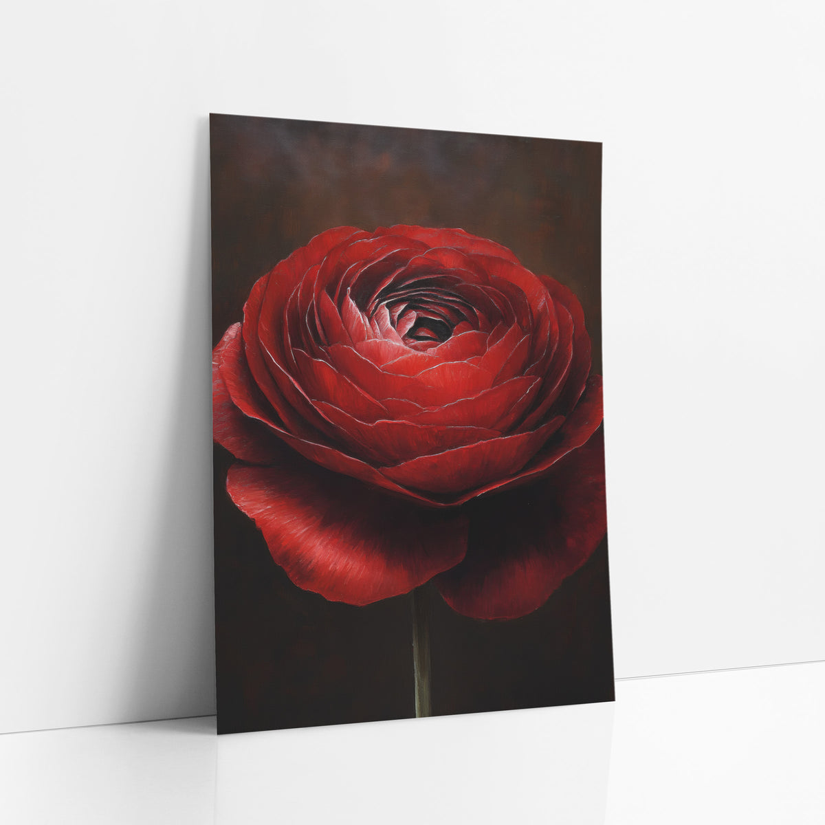 Garnet Ranunculus Solo Stem Oil art print leaning against a white wall – close view of a deep red ranunculus with layered