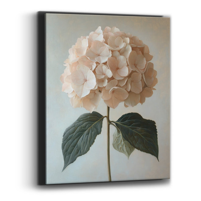 Peach Hydrangea Twin Leaves Classic Canvas Wall Art