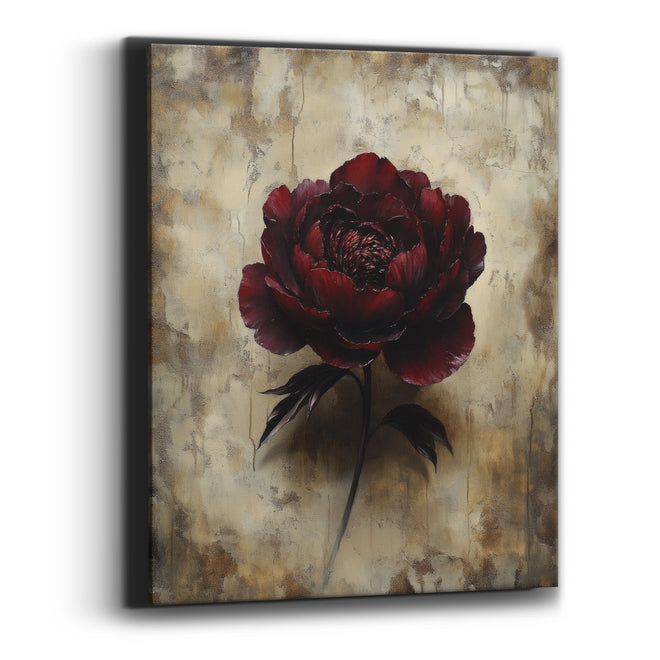 Shadowed Garnet Peony Parchment Wash Canvas Wall Art