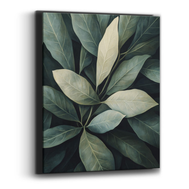 Sage Leaf Rosette Moody Botanical Canvas Wall Art