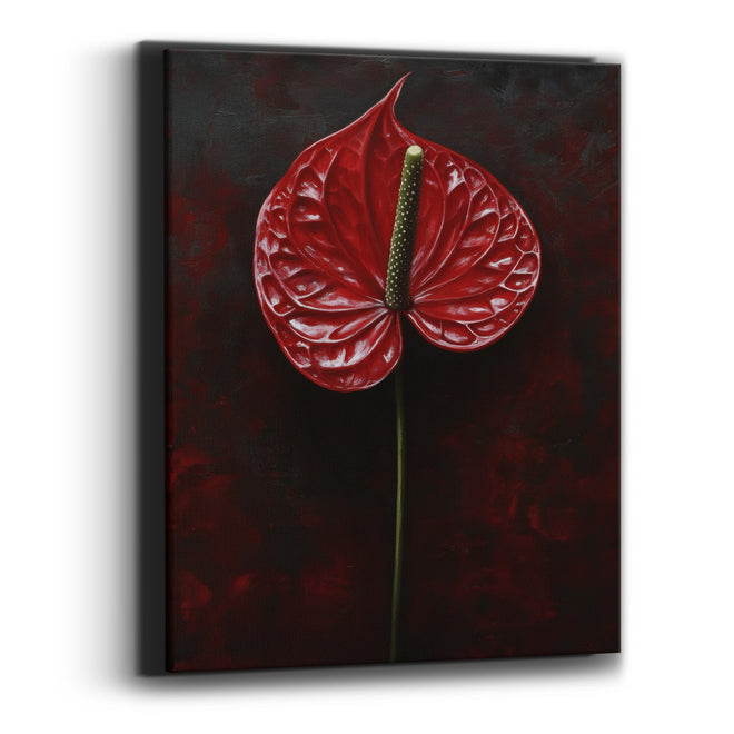 Tall Upright Crimson Anthurium Classic Canvas Wall Art