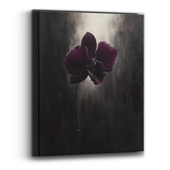 Haloed Orchid Long Stem Moody Canvas Wall Art