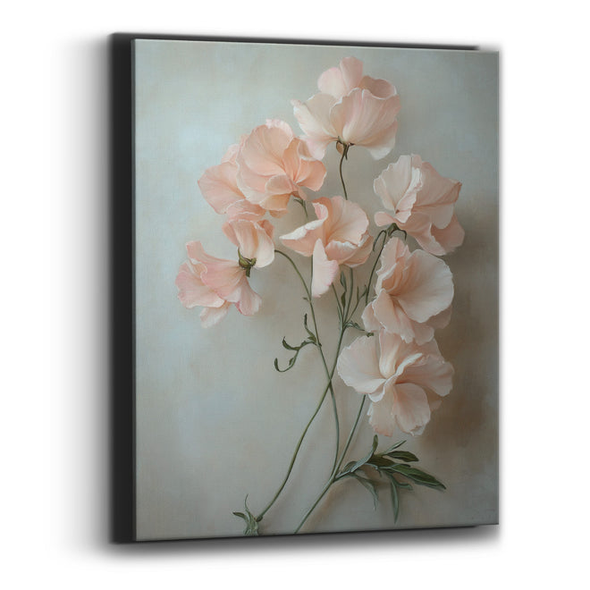 Blush Sweet Pea Cascade Painterly Canvas Wall Art