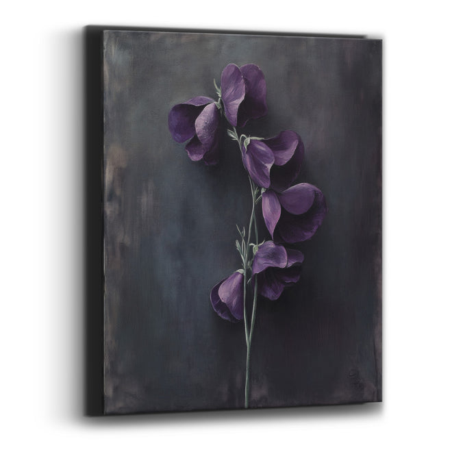 Plum Sweet Pea Slate Stem Botanical Canvas Wall Art