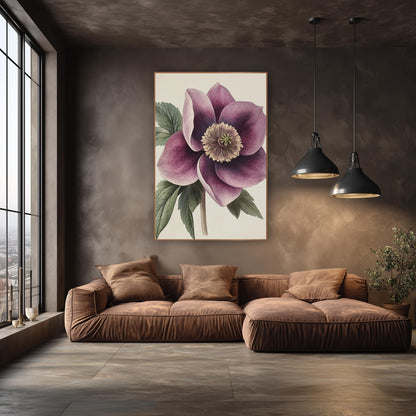 Solitary Plum Hellebore Closeup Botanical wall art in an elegant modern room – vintage botanical illustration