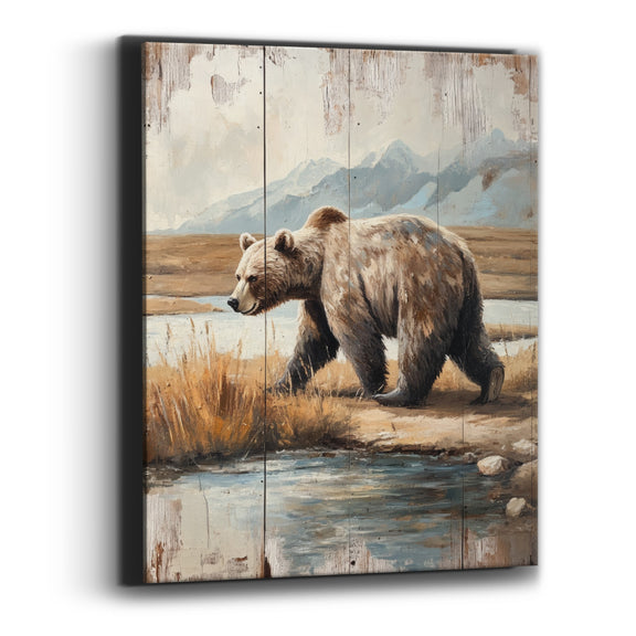 Canvas