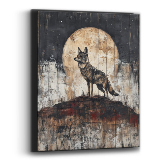 Canvas