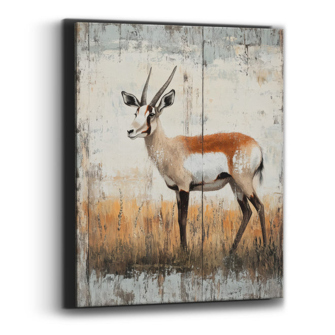 Left Facing Pronghorn Amber Grasses Canvas Wall Art