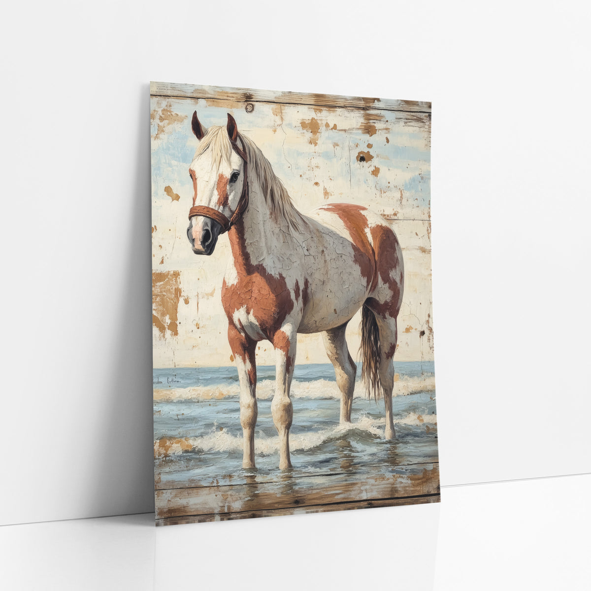 Cracked Cream Paint Horse Coastal art print leaning against a white wall – brown and white paint horse in a leather halter